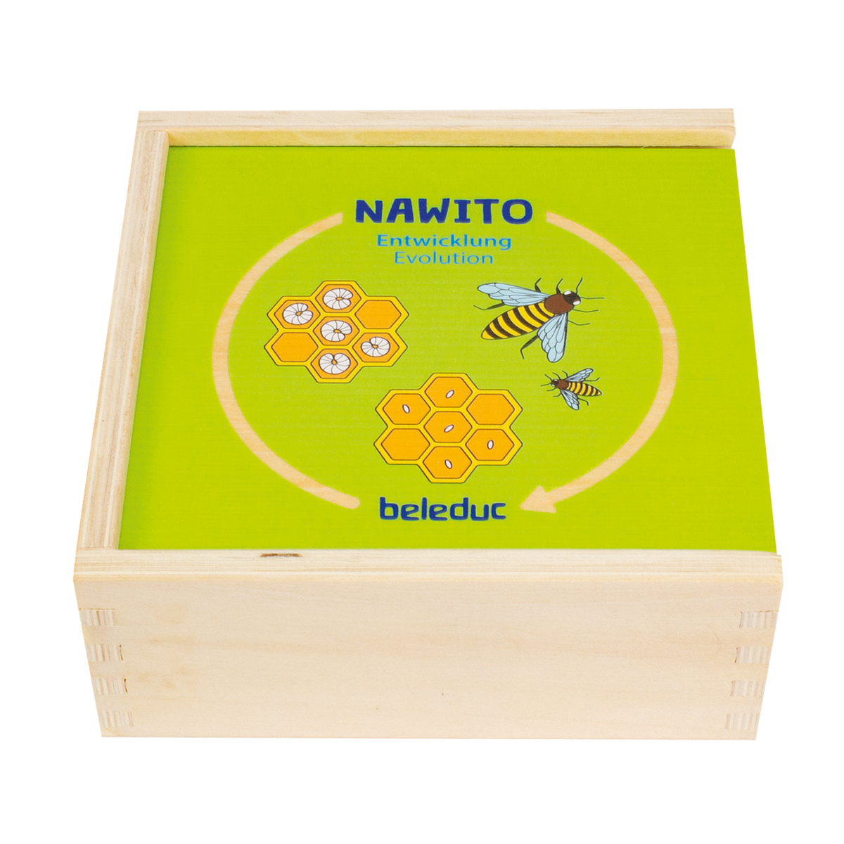 Beleduc Nawito Evolution Matching Puzzle 自然生長過程配對拼圖