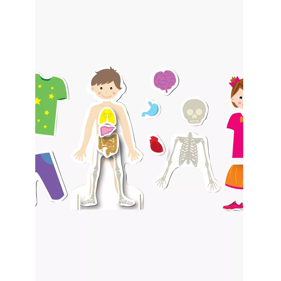 Learning Kitds My Body 我的身體 (人體認知磁力遊戲)