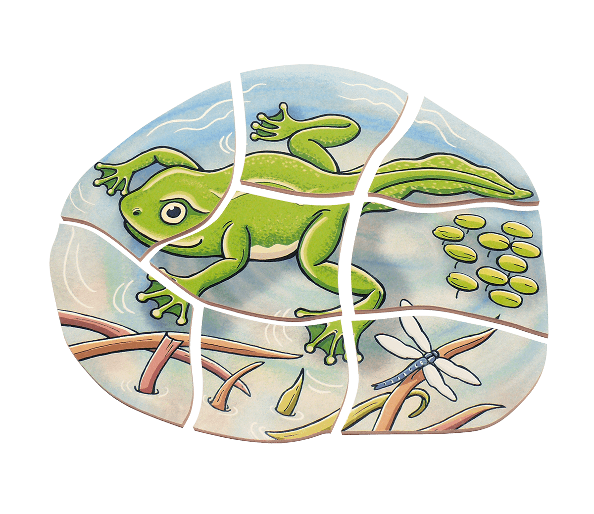 Beleduc Layer-Puzzle Frog 青蛙生長多層情景找找看拼圖