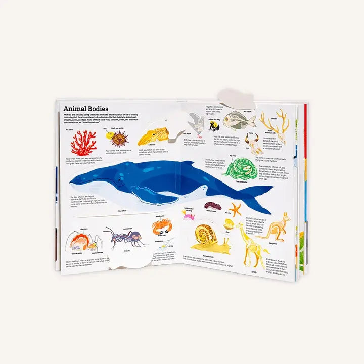 Twirl The Ultimate Book of Animals 動物大全 終極百科立體書