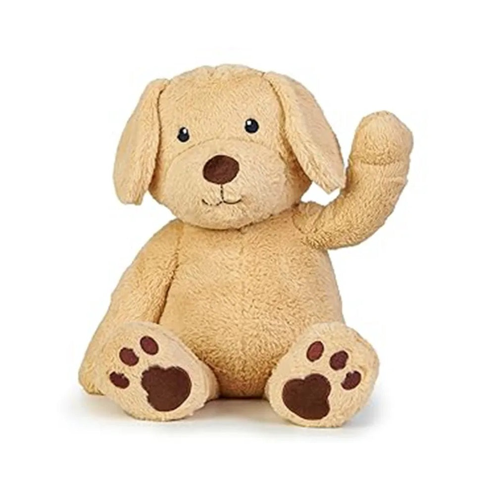 Weighted Stuffed Golden Retriever Fidget Plush 金毛犬感官減壓加重
