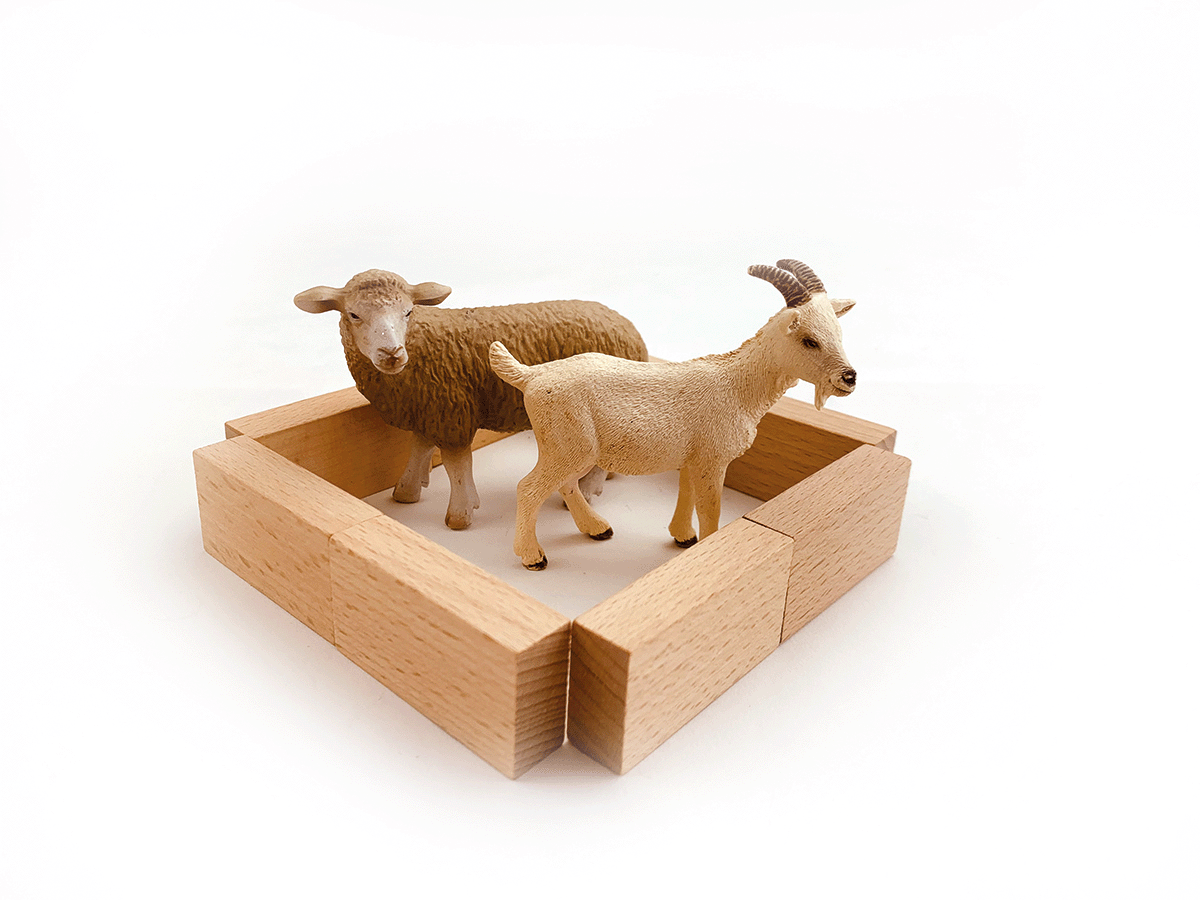 Beleduc Frobel - Set 2