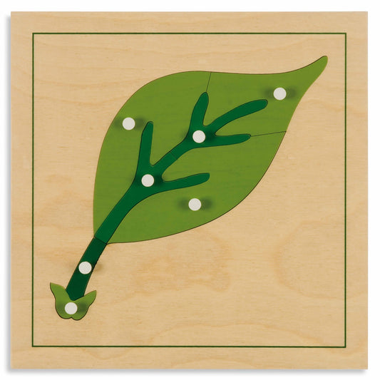 Niehuis Montessori Botany Puzzle: Leaf 蒙特梭利教具- 植物拼圖-葉
