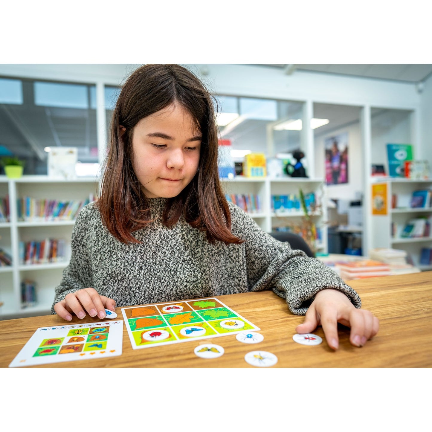 Educo Place The Insects 昆蟲找找看家遊戲