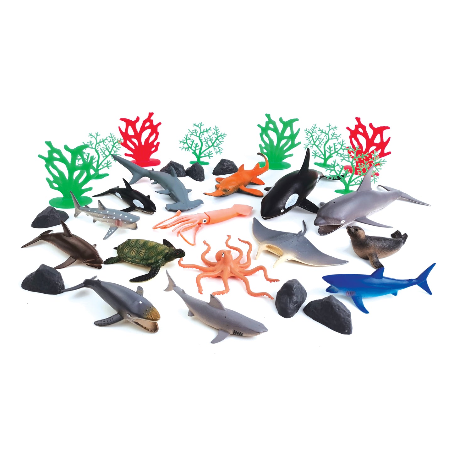 Wenno Jumbo Ocean Animals Playset 30pcs with AR App 特大海洋動物 30件教學套裝 附有AR程式 學習動物常識 餵食動物遊戲