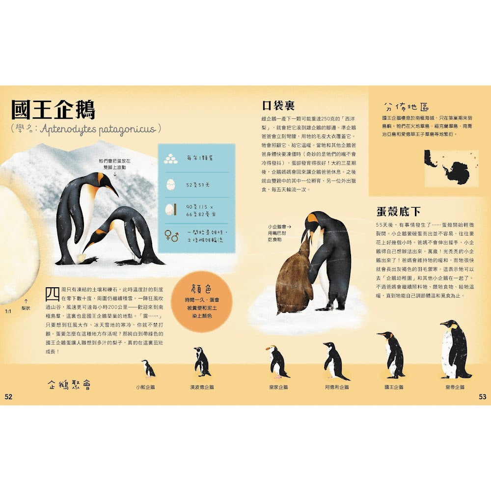 蛋蛋小百科