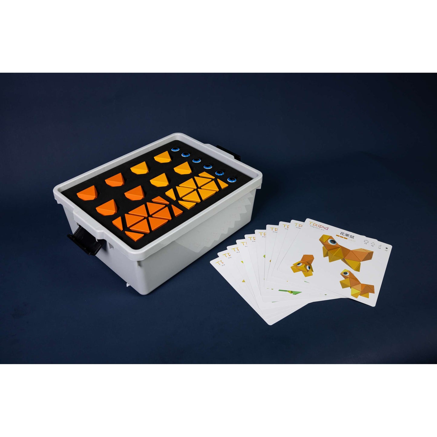 Trido Midsummer 繽紛盛夏磁力套裝