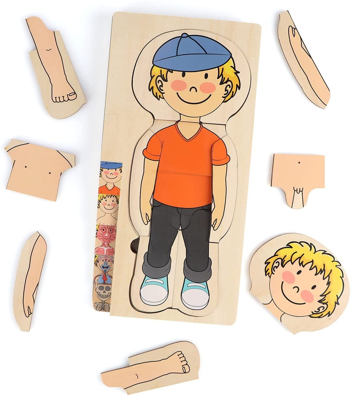 KidzLane Wooden My Body Puzzle Boy 5 Layer Jigsaw 我的身體拼圖木製男孩款