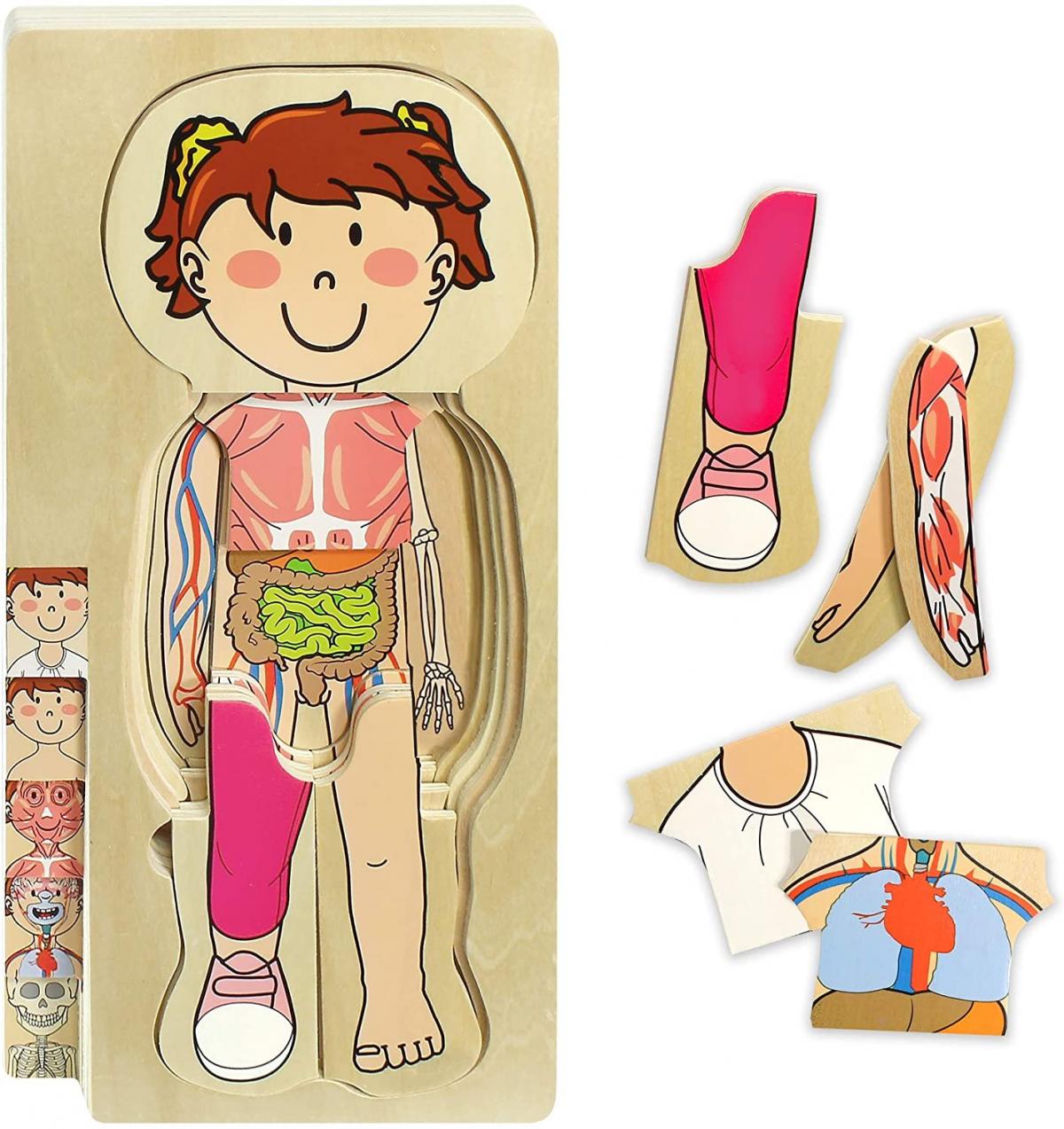 KidzLane Wooden My Body Puzzle Girl 5 Layer Jigsaw 我的身體拼圖木製女孩款