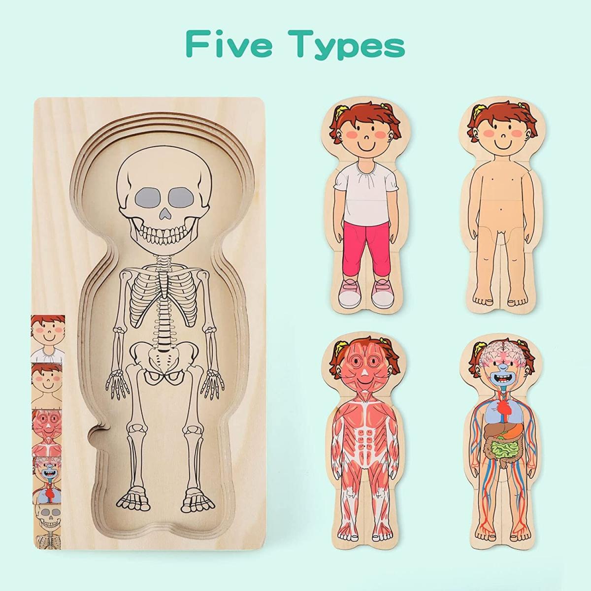 KidzLane Wooden My Body Puzzle Girl 5 Layer Jigsaw 我的身體拼圖木製女孩款