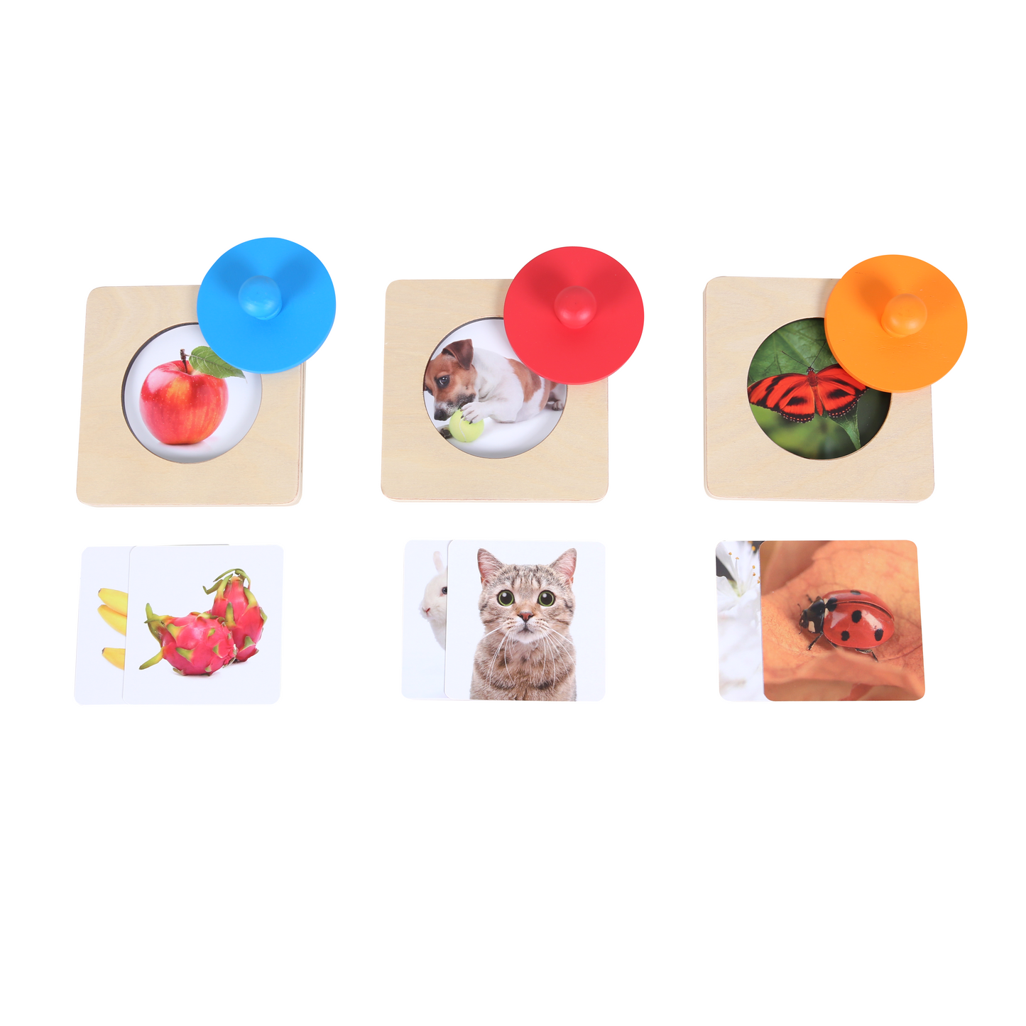 EDUcare Big Knob Hide & Seek Puzzles 大抓手迷藏拼圖組