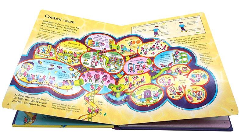 Usborne See Inside Your Head 大腦 深入認識百科翻翻書