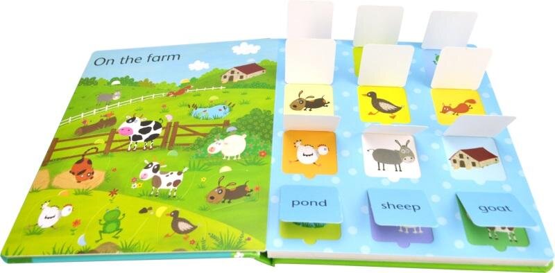 Usborne Lift-the-Flap Word Book Lift-the-Flap Word Book 英語單詞 幼兒早教翻翻書