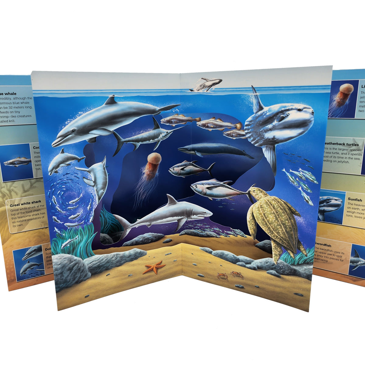 3D Wild Ocean Pop-up Book 3D海底世界立體書