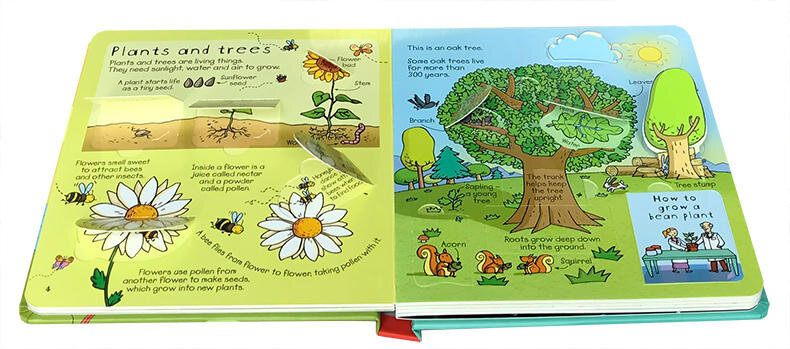 Usborne Look Inside Science 科學 揭秘系列翻翻書