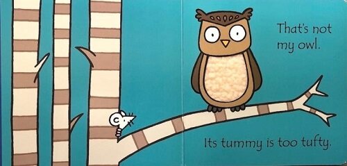 Usborne That's Not My Owl Touchy-feely Board Book 那不是我的貓頭鷹 觸摸書