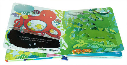 Usborne Peep inside The Sea 偷偷看海洋揭秘 幼兒小翻頁紙板書