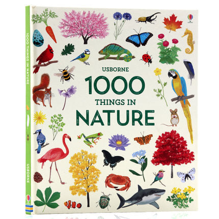 Usborne 1000 Things in Nature 大自然圖解詞典 1000 Things in Nature