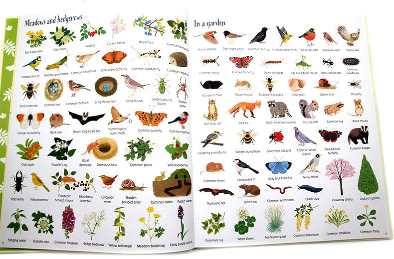 Usborne 1000 Things in Nature 大自然圖解詞典 1000 Things in Nature