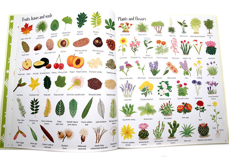 Usborne 1000 Things in Nature 大自然圖解詞典 1000 Things in Nature