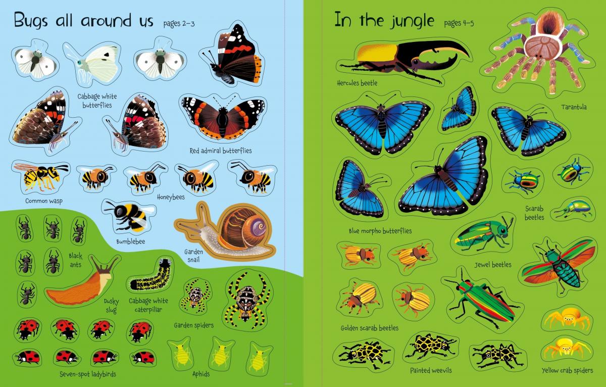 Usborne Bugs First Sticker Book Bugs First Sticker Book 昆蟲貼紙書