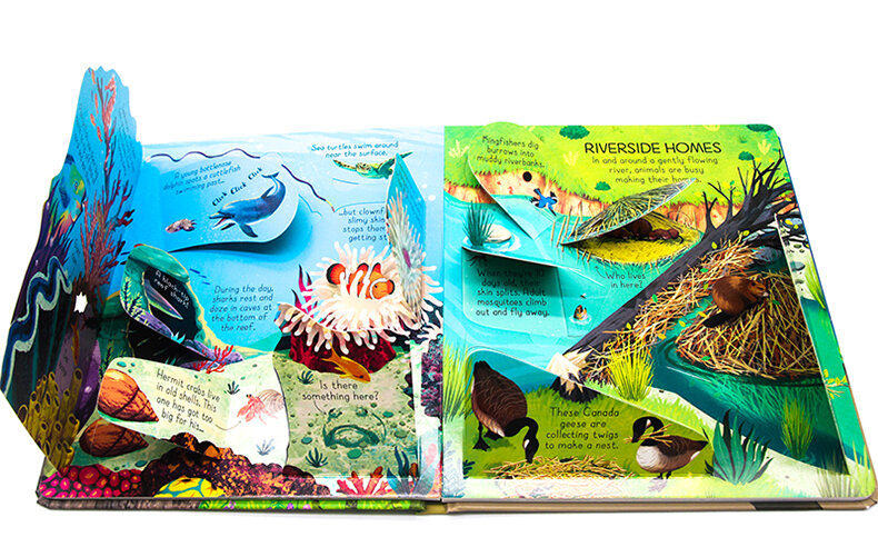 Usborne Look Inside Animal Homes Look Inside Animal Homes 動物的家 揭秘系列翻翻書