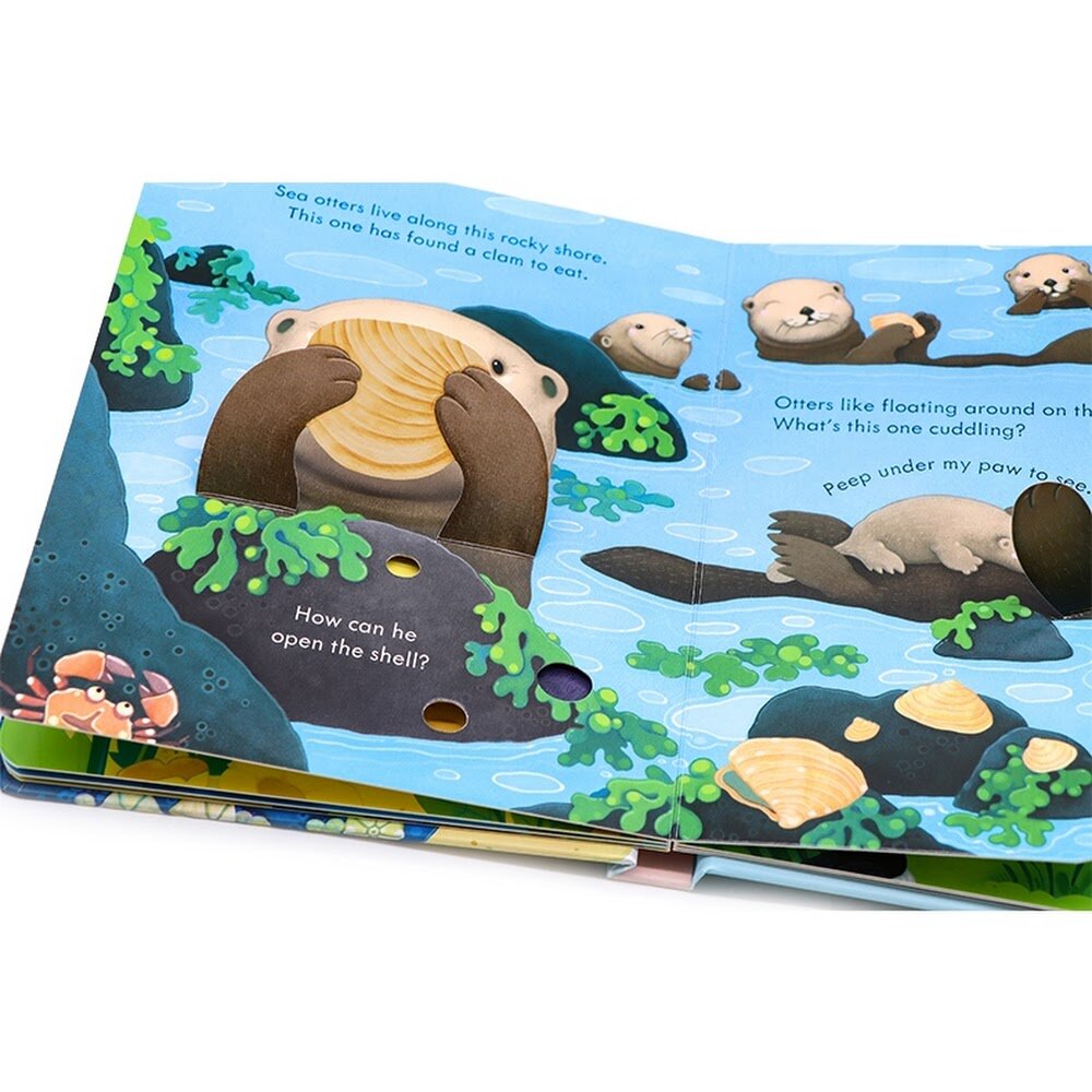 Usborne Peep inside the Seashore 偷偷看海岸揭秘 幼兒小翻頁紙板書