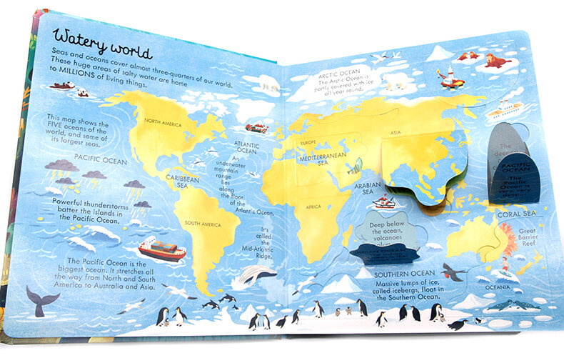 Usborne Look Inside Seas and Oceans 海洋 揭秘系列翻翻書