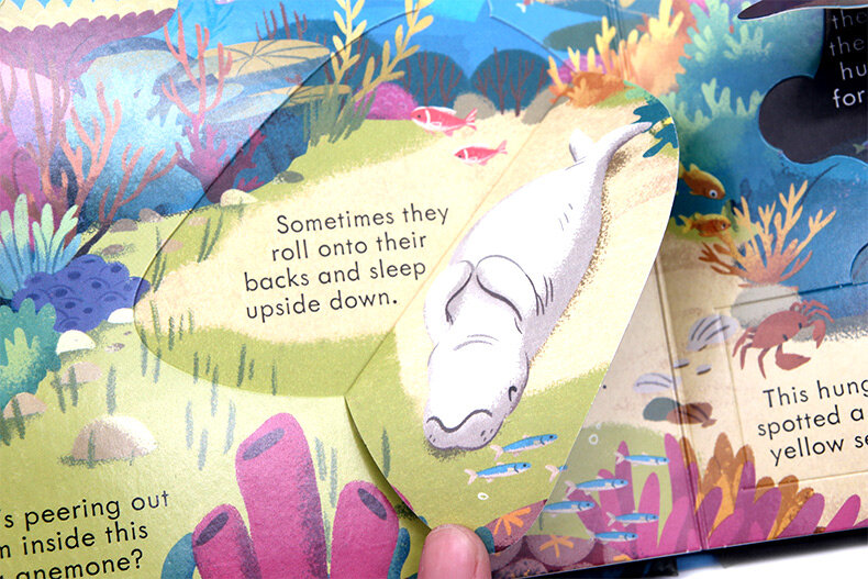 Usborne Look Inside Seas and Oceans 海洋 揭秘系列翻翻書