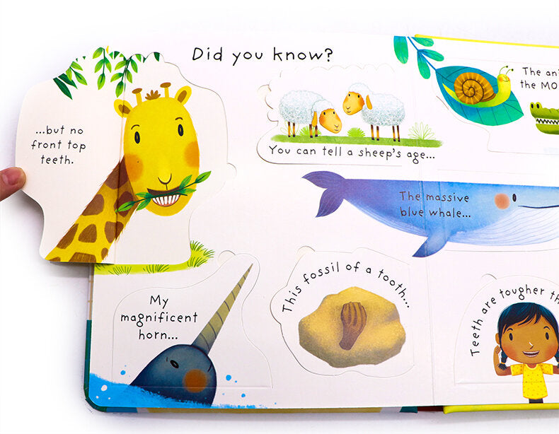 Usborne Very First Questions and Answers Why Should I Brush My Teeth? Very First Questions and Answers Why Should I Brush My Teeth? 為什麼我要刷牙? 幼兒啟蒙問答翻翻書