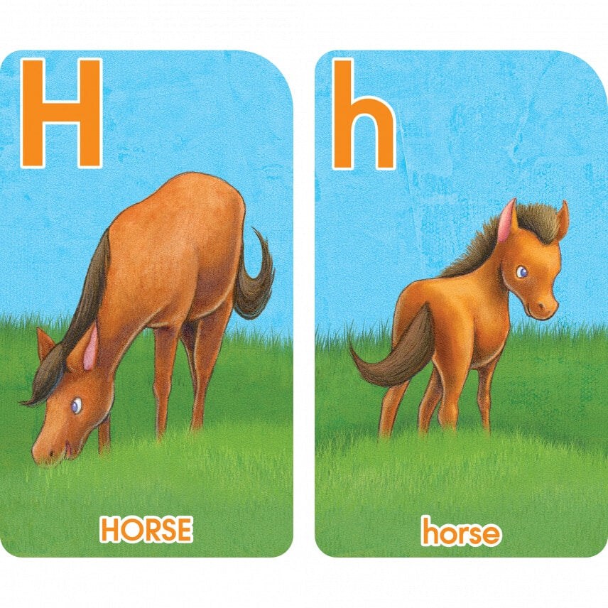 Hinkler School Zone Go Fish Alphabet Game Cards 大小楷字母遊戲卡