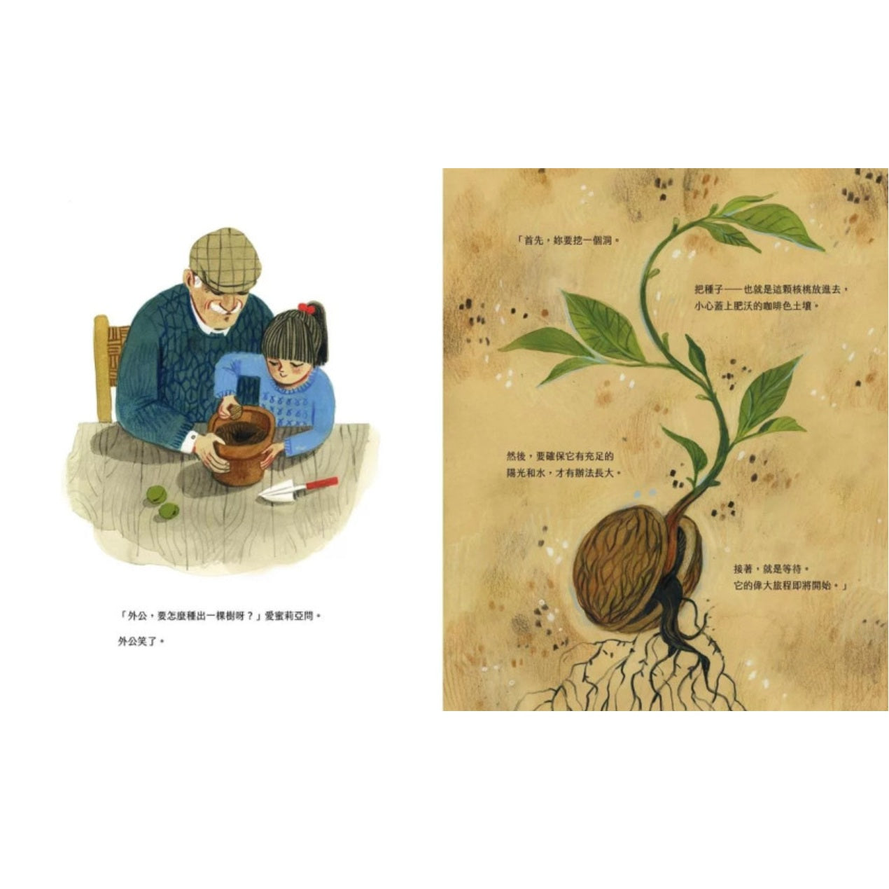 最初是一顆核桃