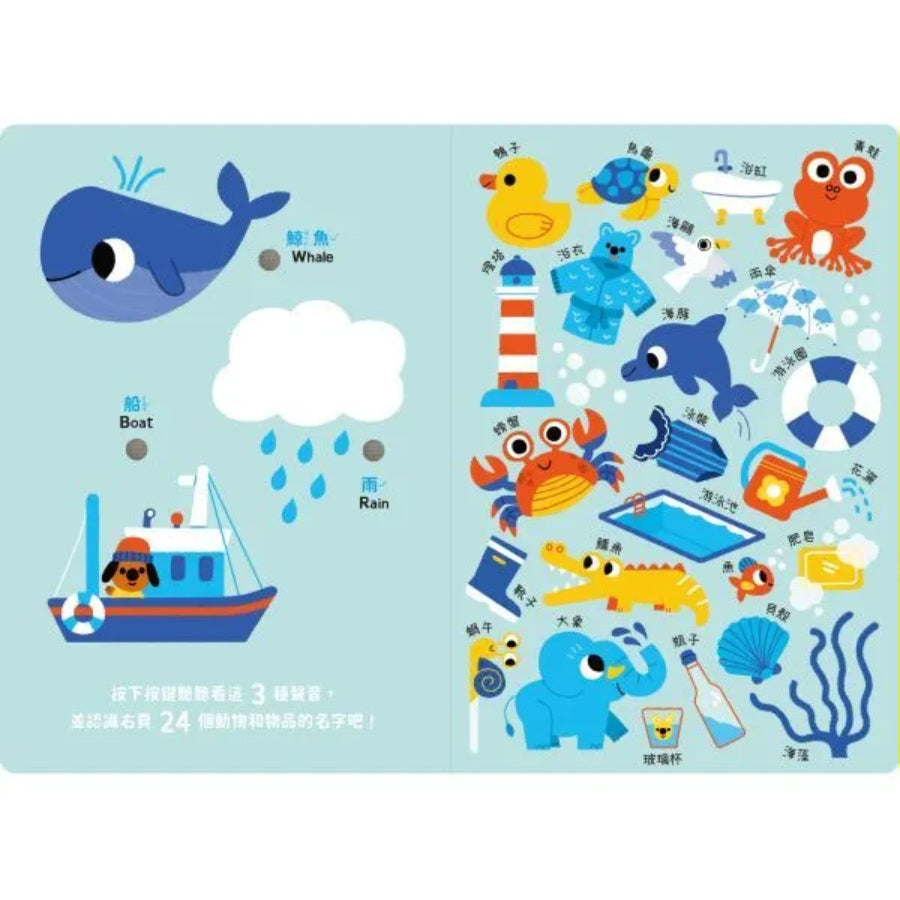寶寶認知有聲書-認識好多好多東西