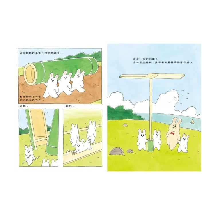 好想飛的兔老大