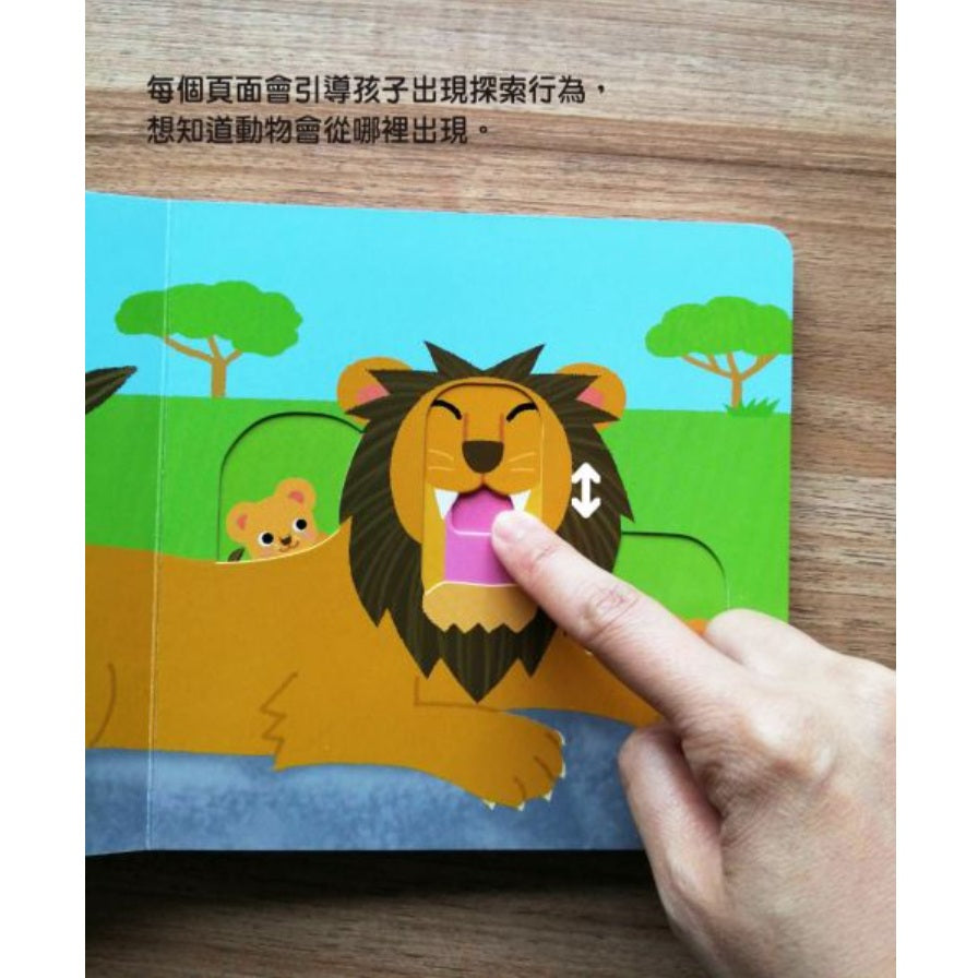 寶貝在哪裡【0~3歲寶寶全腦開發遊戲書】