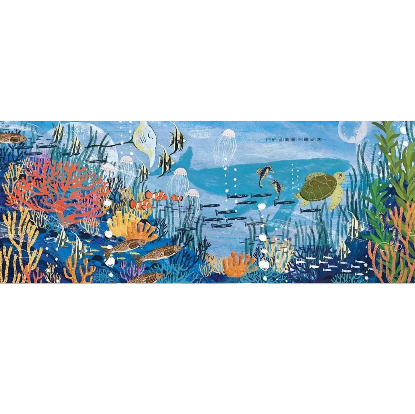 海龜與海
