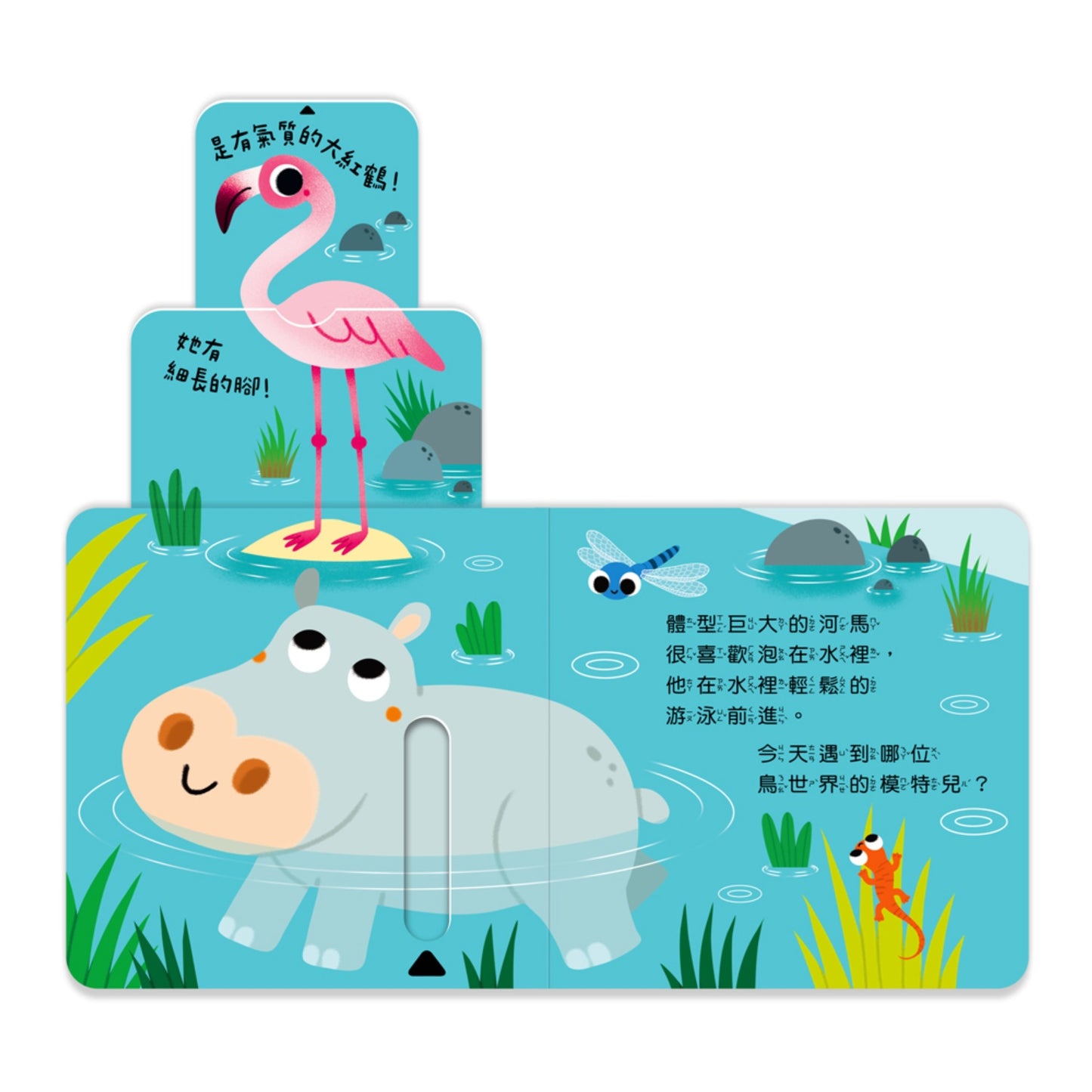 123 推拉書系列 - 熱烘烘的大草原