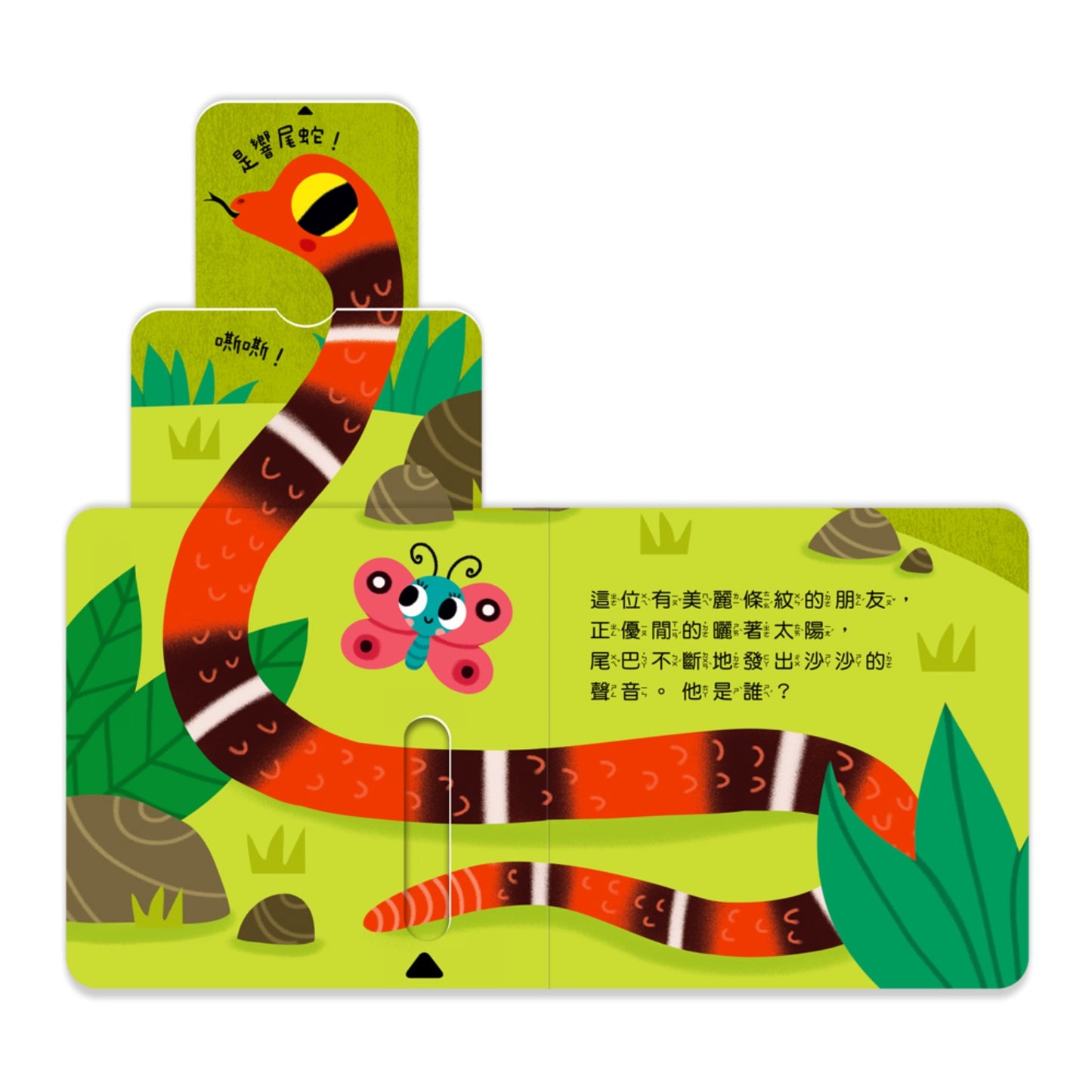 123 推拉書系列 - 鬧哄哄的雨林