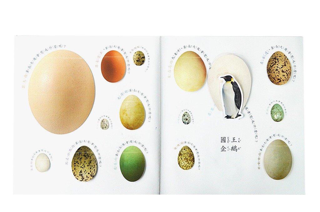 立體翻翻書 猜猜我是誰