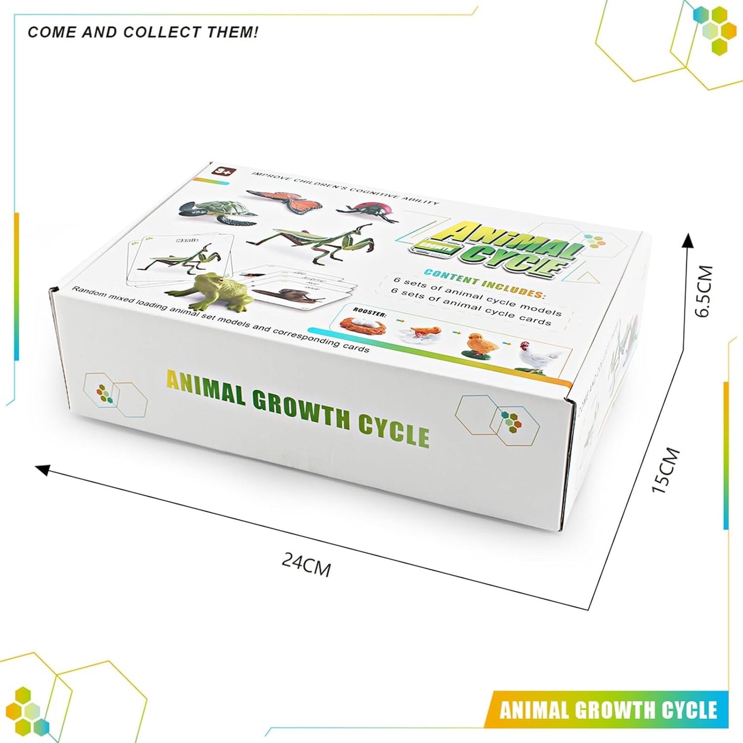Animal Growth Cycle Model with Card Learning Kit 動物成長週期模型圖卡學習套裝