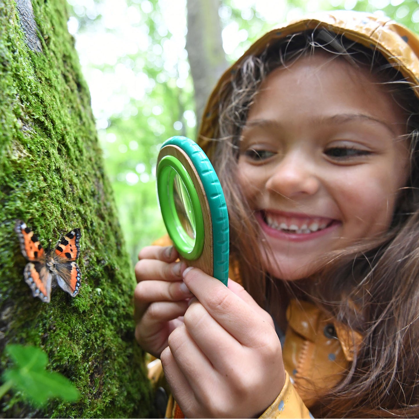 Hape Nature Detective Set