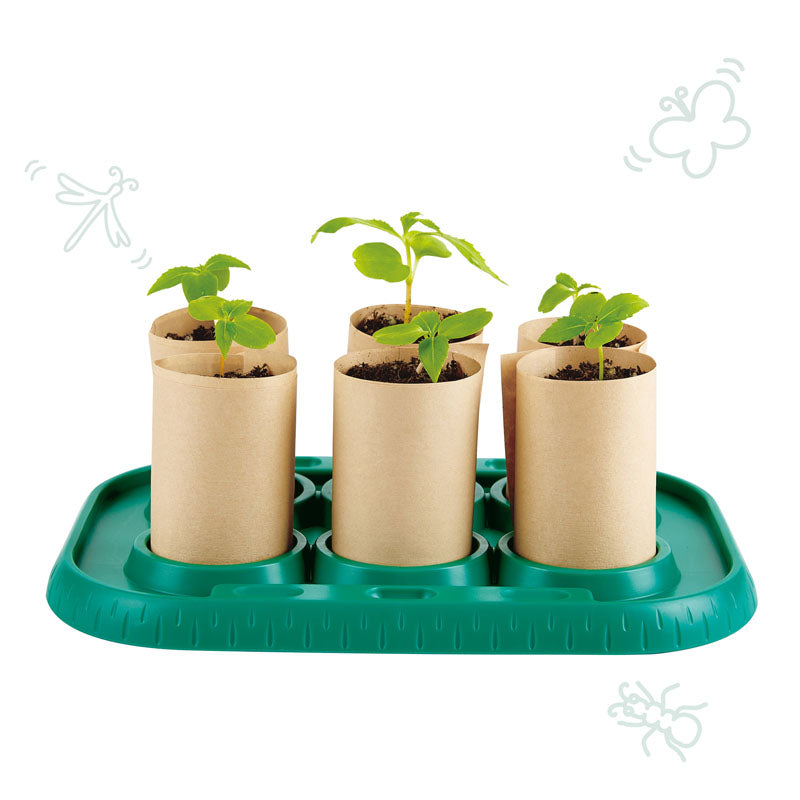 Hape Growing Gardners Green house