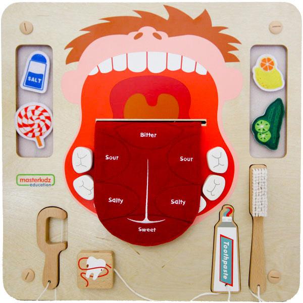 Masterkidz Wall Elements - Oral Care Learning Board 牆面遊戲 - 口腔健康學習板