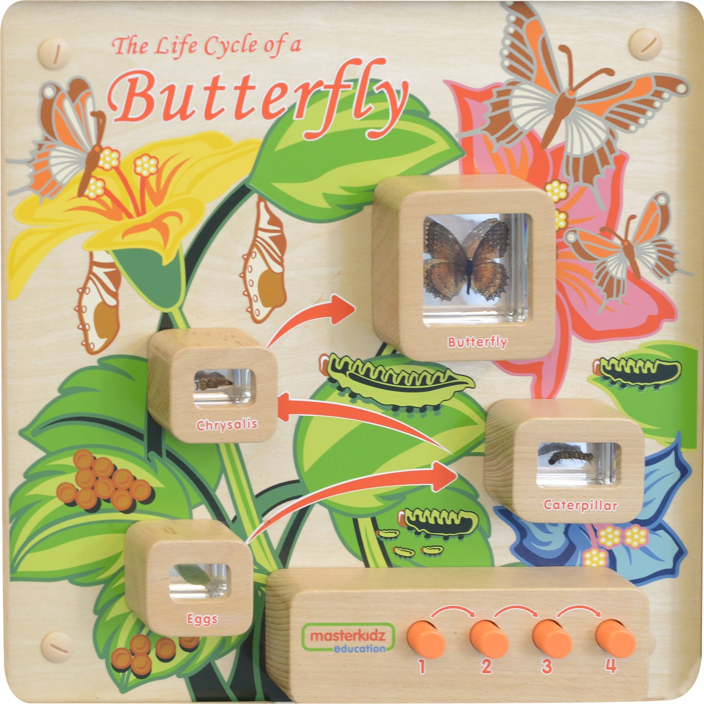 Masterkidz Wall Elements - Light-Up Butterfly Life Cycle Stages Panel 牆面遊戲-蝴蝶成長階段標本探索燈板
