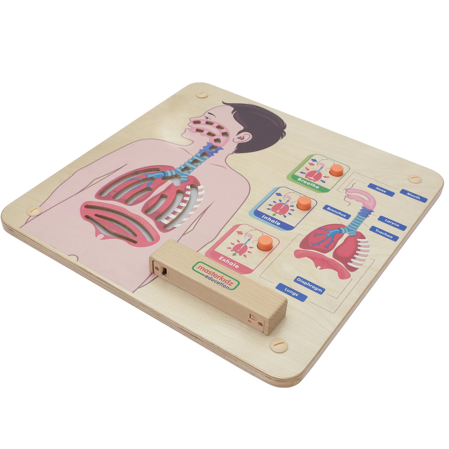 Masterkidz Wall Elements - Respiratory System 牆面遊戲 - 呼吸系統