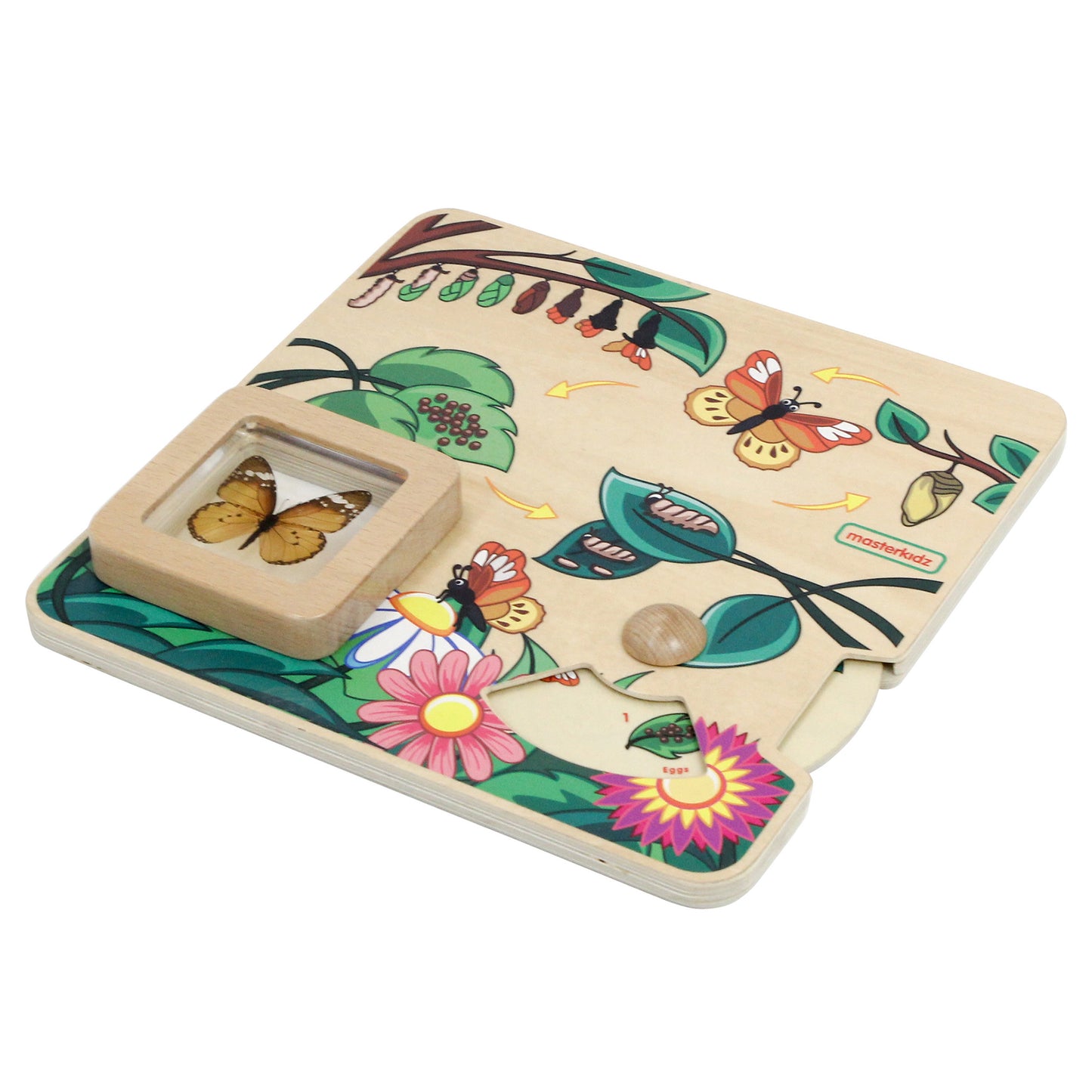 Masterkidz Butterfly Life Cycle Handy Learning Board 蝴蝶成長學習板