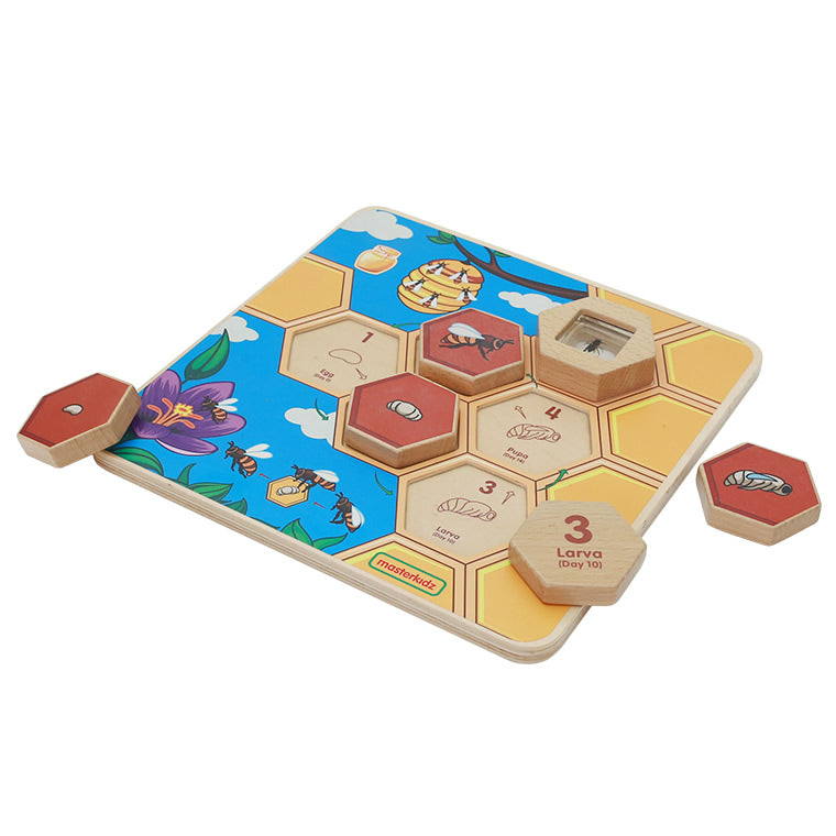 Masterkidz Bee Life Cycle Handy Learning Board 蜜蜂成長學習板