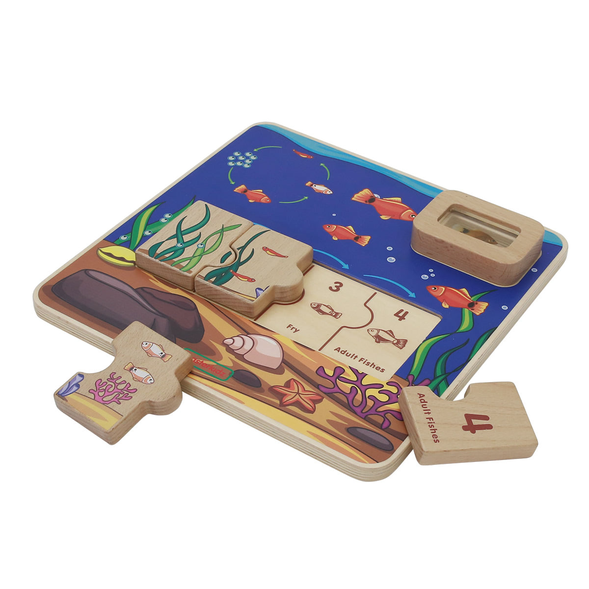 Masterkidz Fish Life Cycle Handy Learning Board 小魚成長學習板