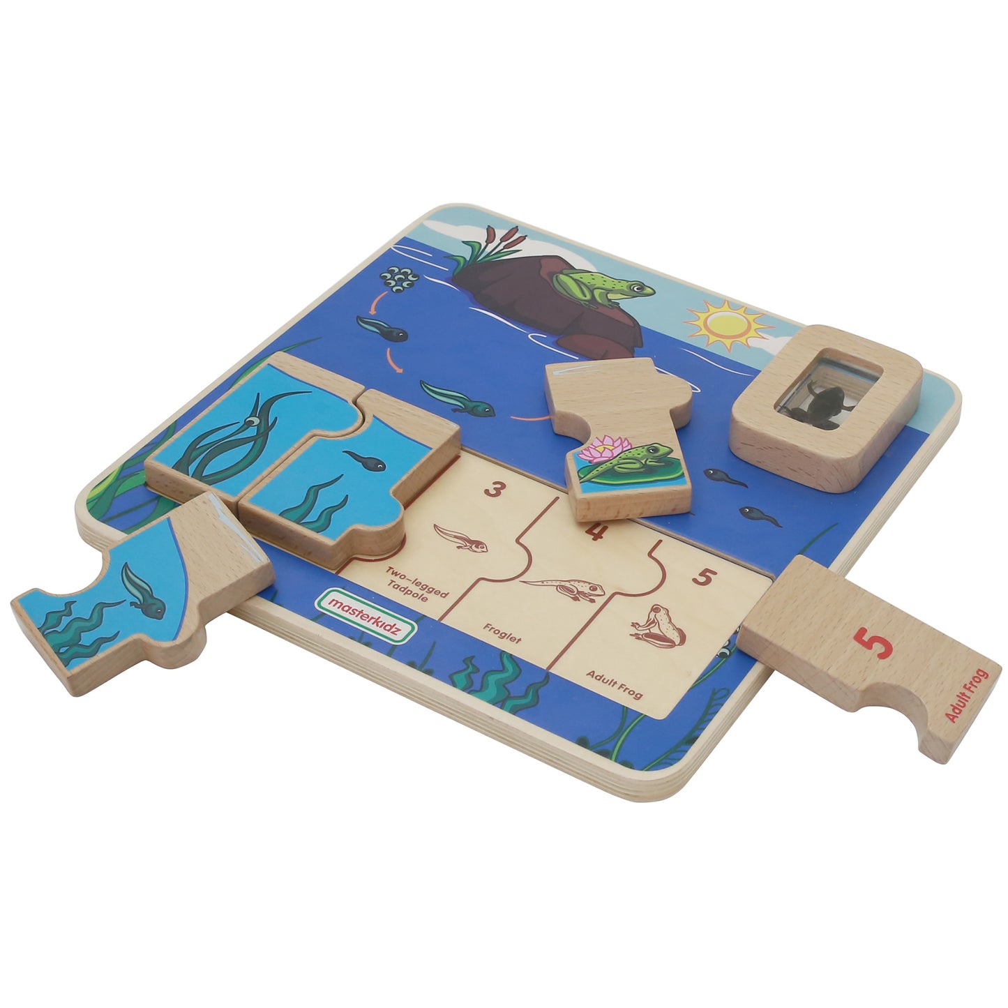 Masterkidz Frog Life Cycle Handy Learning Board 青蛙成長學習板