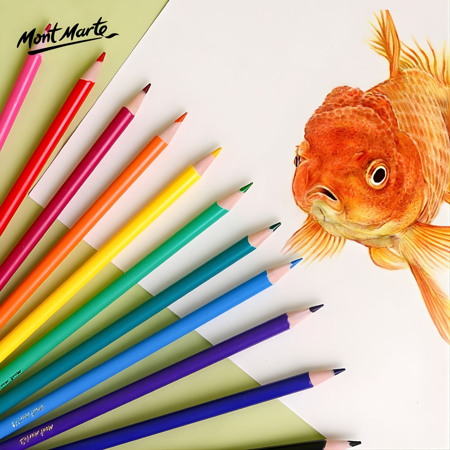 Mont Marte Colored Pencil and Eraser Set of 48件裝 兒童文具套裝 彩色鉛筆連立體造型橡皮擦